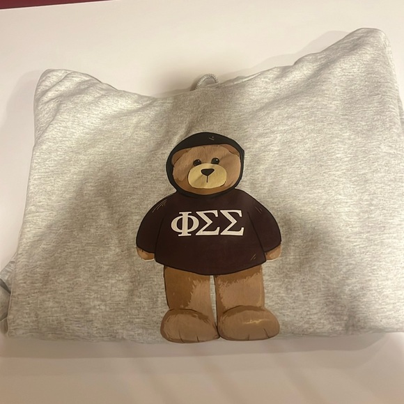 Gildan Other - New Phi Sigma Sigma Cozy Hoody. Comes in size Large. 50% cotton 50% polyester.